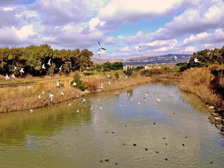 Foce_del_fiume_San_Leone