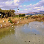 Foce_del_fiume_San_Leone