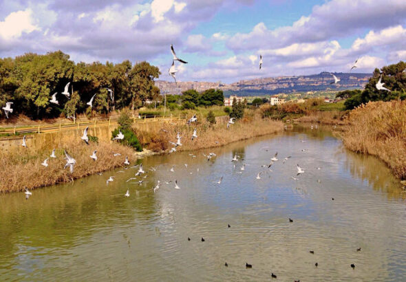 Foce_del_fiume_San_Leone