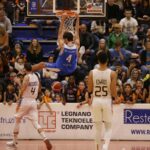 Fortitudo