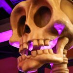 Halloween Park_Sicilia2026