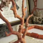 Museo Nocito_corallo