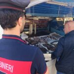 sequestro